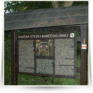 2000 01 Cesta — dsc_0410.jpg