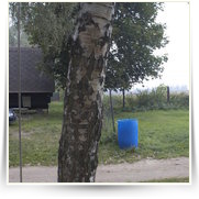 2000 01 Cesta — dsc_0676.jpg