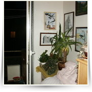 2002 11 Mikulas — PICT0001.JPG