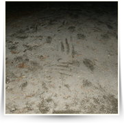 2003 11 Mikulas — PICT1097.JPG