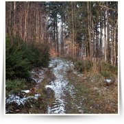 Silvestr Stechovice — dsc_3667.jpg