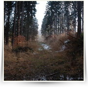 Silvestr Stechovice — dsc_3669.jpg