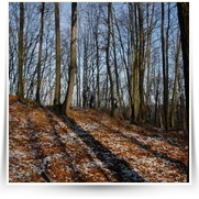 Silvestr Stechovice — dsc_3679.jpg