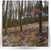 Silvestr Stechovice — dsc_3704.jpg
