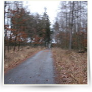 Silvestr Stechovice — dsc_3735.jpg