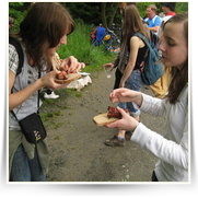 2008 05 Cesta Kocoura Mikese Projekt 76 — img_1424.jpg
