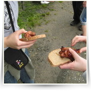 2008 05 Cesta Kocoura Mikese Projekt 76 — img_1425.jpg