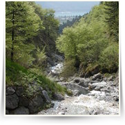 2008 05 Italie hory a jezera — dsc_0382.jpg