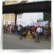 2008 05 Pochod Praha Prcice — img_1215.jpg