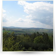 2008 05 Sazava z Tynce do Pikovic — img_0669.jpg