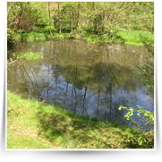 2008 05 Sazava z Tynce do Pikovic — img_0690.jpg