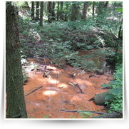 2008 06 Pytlackymi Roklemi — img_1606.jpg