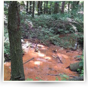 2008 06 Pytlackymi Roklemi — img_1607.jpg