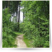 2008 06 Pytlackymi Roklemi — img_1609.jpg