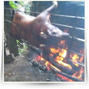 Prase na grilu prvni video vid — thumb.jpg