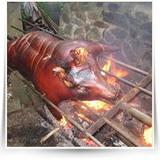 2008 08 Prase na Sazave — img_2686_1.jpg
