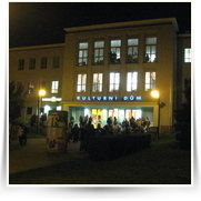 2008 11 LetsDance — img_4405.jpg