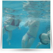 Tropical Islands Underwater — IMG_4627.JPG
