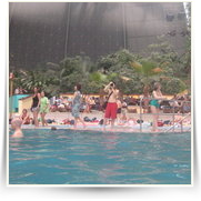 Tropical Islands Underwater — IMG_4678.JPG