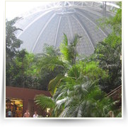 Tropical Islands Underwater — IMG_4739.JPG