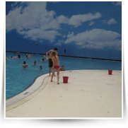 Tropical Islands Underwater — IMG_4748.JPG