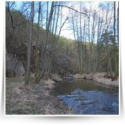 Hrachov Kemp — DSC_0243.JPG