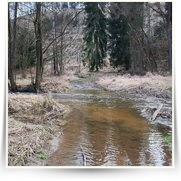 Hrachov Kemp — DSC_0257.JPG