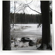 Velkoparezity kemp Maxilahev — IMG_4764.JPG