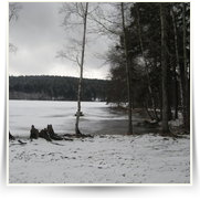 Velkoparezity kemp Maxilahev — IMG_4766.JPG