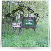 Cheb As SOOS — DSC00085.JPG