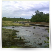 Cheb As SOOS — DSC00096.JPG