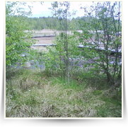 Cheb As SOOS — DSC00100.JPG