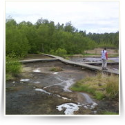 Cheb As SOOS — DSC00105.JPG