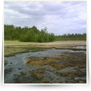Cheb As SOOS — DSC00110.JPG