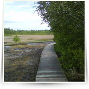 Cheb As SOOS — DSC00111.JPG
