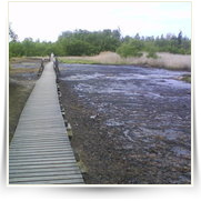 Cheb As SOOS — DSC00112.JPG
