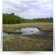 Cheb As SOOS — DSC00113.JPG
