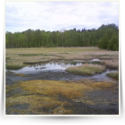 Cheb As SOOS — DSC00115.JPG