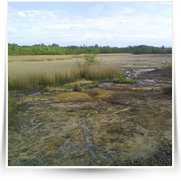 Cheb As SOOS — DSC00117.JPG