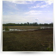 Cheb As SOOS — DSC00120.JPG