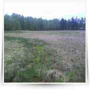 Cheb As SOOS — DSC00132.JPG
