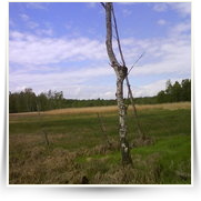 Cheb As SOOS — DSC00134.JPG