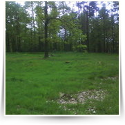 Cheb As SOOS — DSC00179.JPG