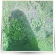 Cheb As SOOS — DSC00264.JPG