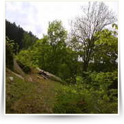 Cheb As SOOS — DSC00281.JPG