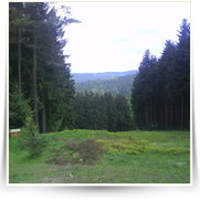 Cheb As SOOS — DSC00294.JPG
