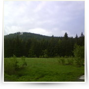 Cheb As SOOS — DSC00361.JPG