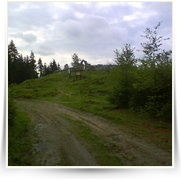 Cheb As SOOS — DSC00362.JPG