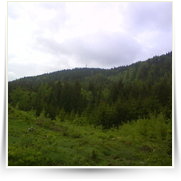 Cheb As SOOS — DSC00363.JPG