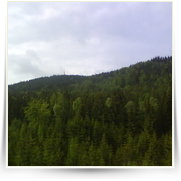 Cheb As SOOS — DSC00369.JPG